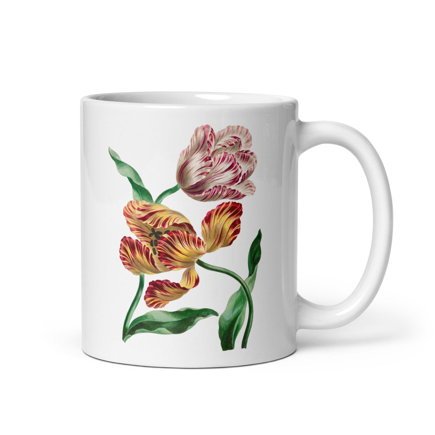 Mug Various Tulips by John Edwards